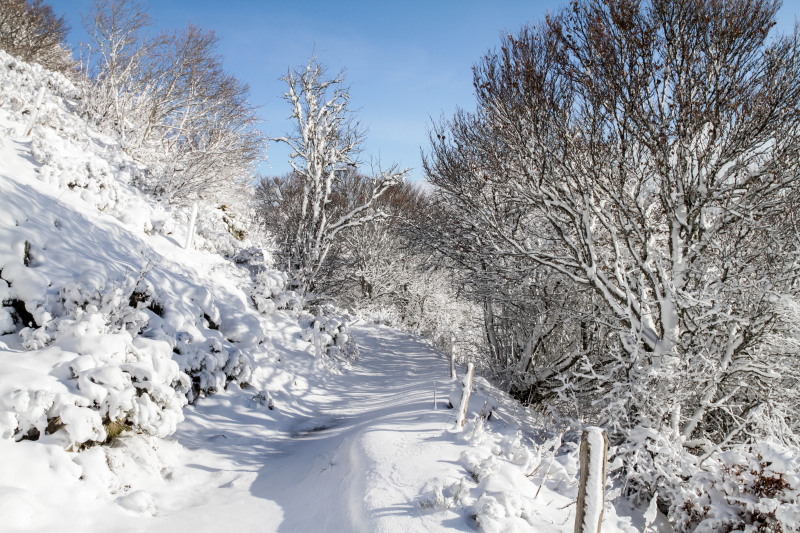 La neige en hiver
